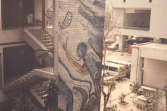 510542621_10212332891834428_2291387483097031281_n