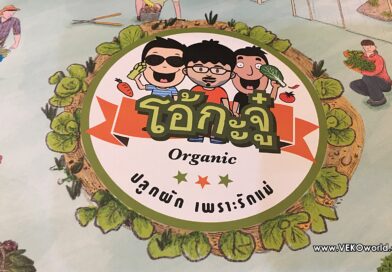 รีวิว โอ้กะจู๋ ร้านสลัดผักปลอดสาร,