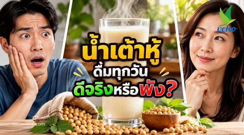 สยบเข้าใจผิด! เรื่องจริงของ ‘น้ำเต้าหู้’ เครื่องดื่มสามัญประจำบ้าน ที่ประโยชน์ล้ำกว่าที่คุณคิด